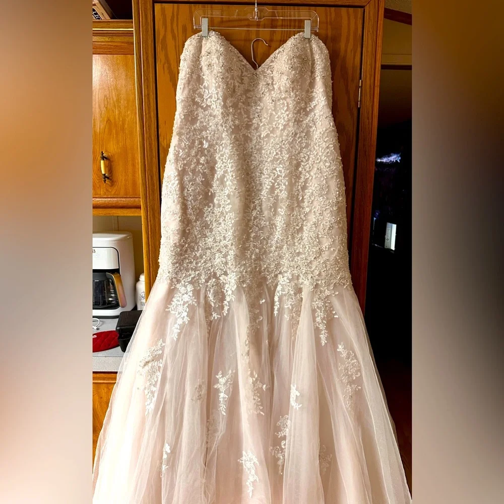 Champagne colored Mermaid style Essence of Australia wedding dress - Picture 1 of 7
